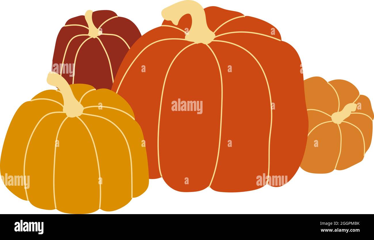 Vektorgrafik Orange Kürbis. Herbst halloween Kürbis, Gemüse Grafik Symbol oder Druck, isoliert auf weißem Hintergrund Stock Vektor