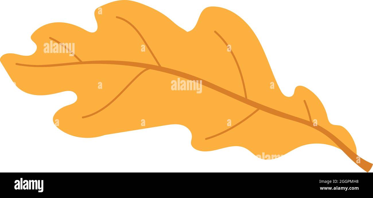 Orangene Herbstblätter Vektorgrafik. Herbstlicher Halloween Rahmen mit Blättern, grafischer Ikone oder Druck isoliert auf weißem Hintergrund Stock Vektor