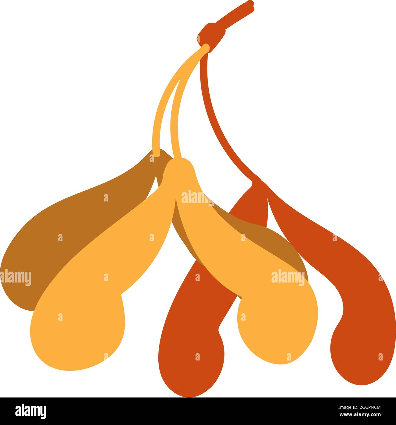 Orangene Herbstblätter Vektorgrafik. Herbstlicher Halloween Rahmen mit Blättern, grafischer Ikone oder Druck isoliert auf weißem Hintergrund Stock Vektor