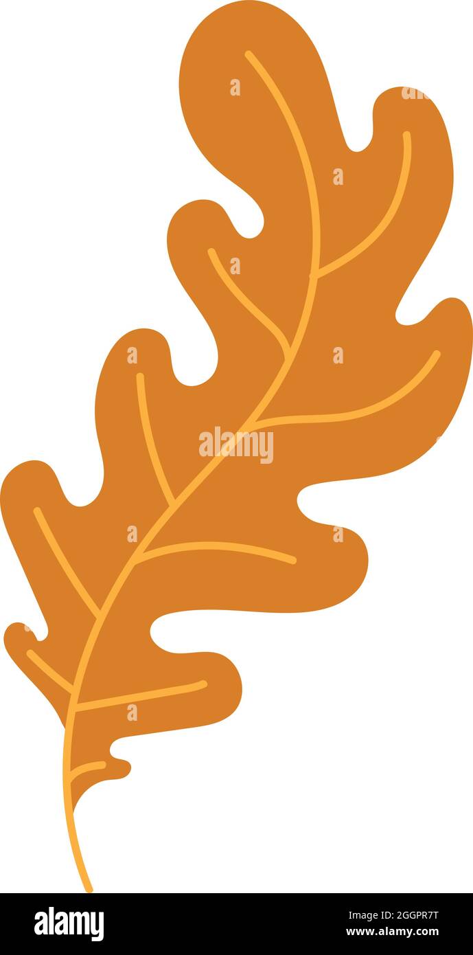 Orangene Herbstblätter Vektorgrafik. Herbstlicher Halloween Rahmen mit Blättern, grafischer Ikone oder Druck isoliert auf weißem Hintergrund Stock Vektor