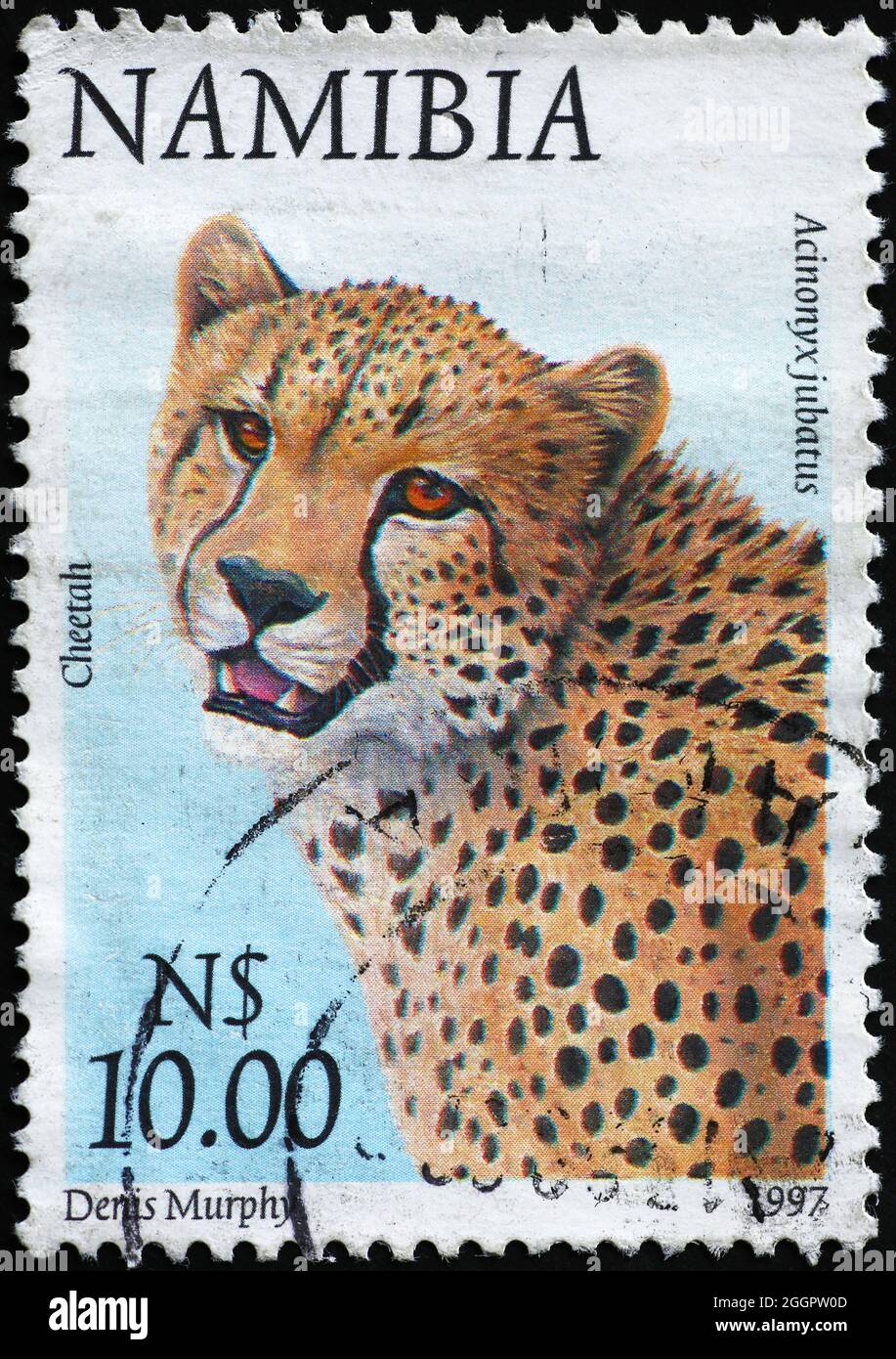Gepard auf namibischer Briefmarke Stockfoto