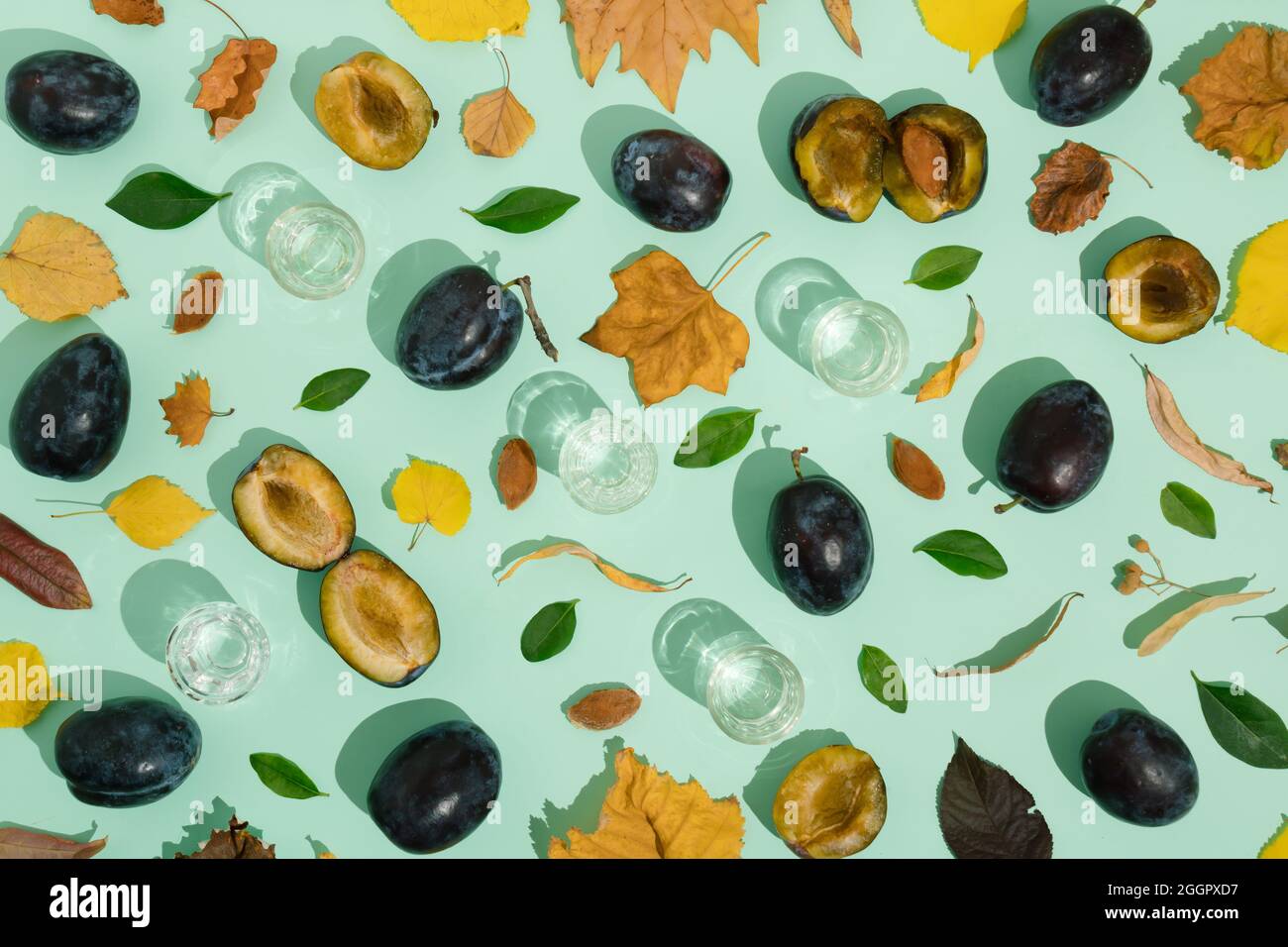 Pflaumen und getrocknete Blätter von gelber, grüner, brauner, oranger Farbe auf pastellgrünem Hintergrund. Gläser mit Brandy. Die Idee der herbstlichen kreativen Kompositio Stockfoto