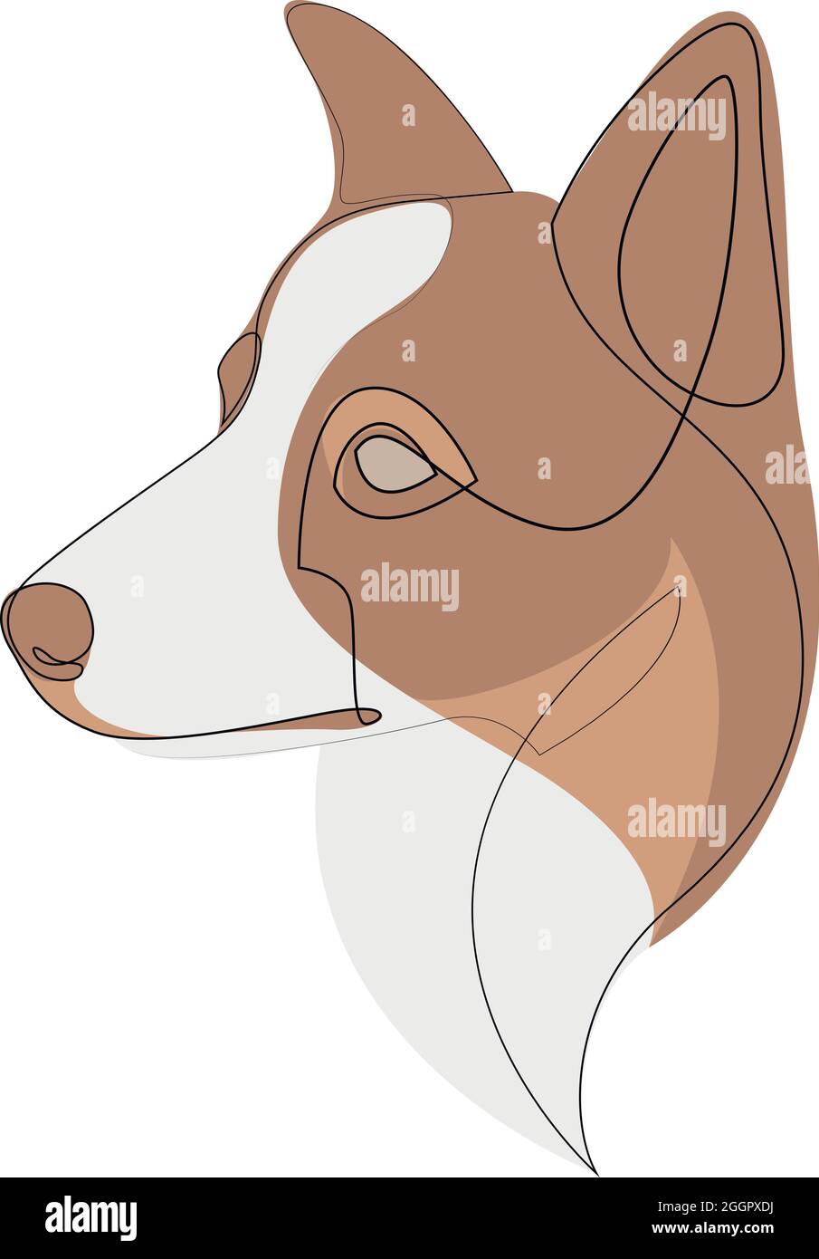 Brauner Rand Collie Vektor Hundeportrait. Durchgehende Linie. Zeichnen der  Hundeleine Stock-Vektorgrafik - Alamy