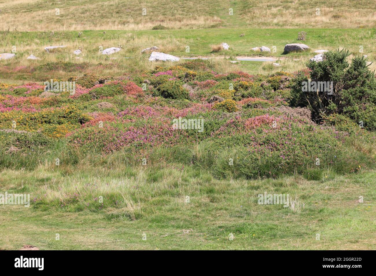 Die Great Orme Stockfoto