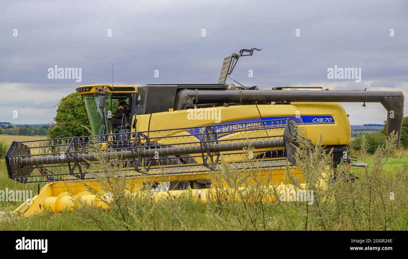Der neue Holland 720CG-Schneidwerk mit hoher Kapazität, 24 m, wurde vom CX8.70 Stufe V-Mähdrescher in Salisbury Plain Wiltshire UK abgetrennt Stockfoto