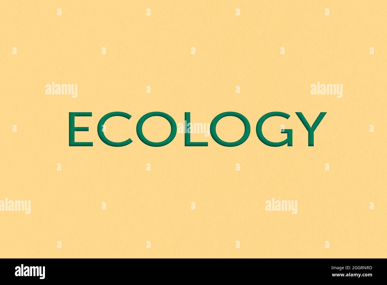 Das Wort 'Ökologie' auf gelbem Hintergrund. Ansicht von oben oder flach liegend. Stockfoto