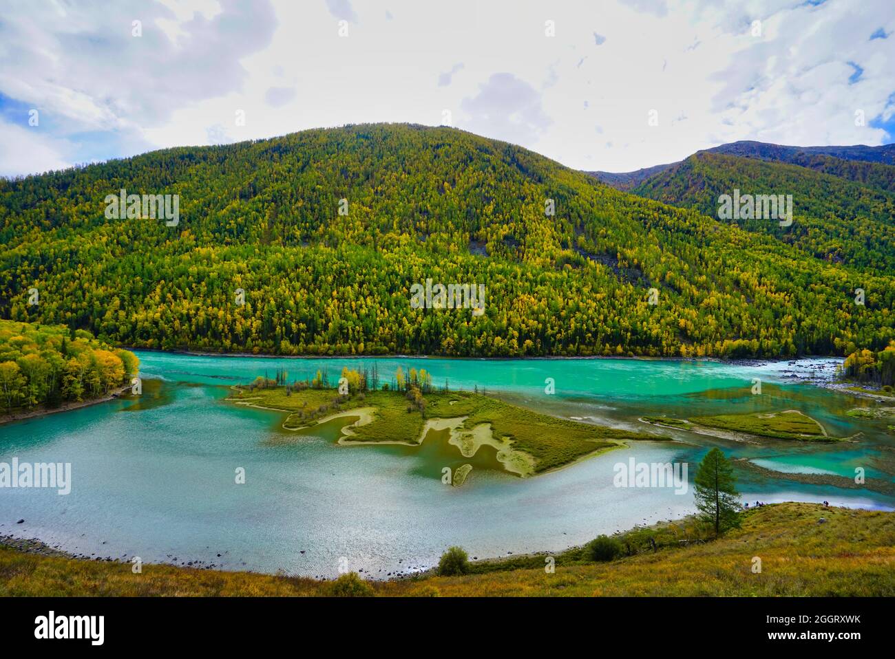 Wolong Bay of Kanas Lake. Kristallblauer Fluss, kleine Sandbank.Grüne Baumhügel. Die natürliche Schönheit des Paradieses. Kanas Nature Reserve. Xinjiang Provi Stockfoto