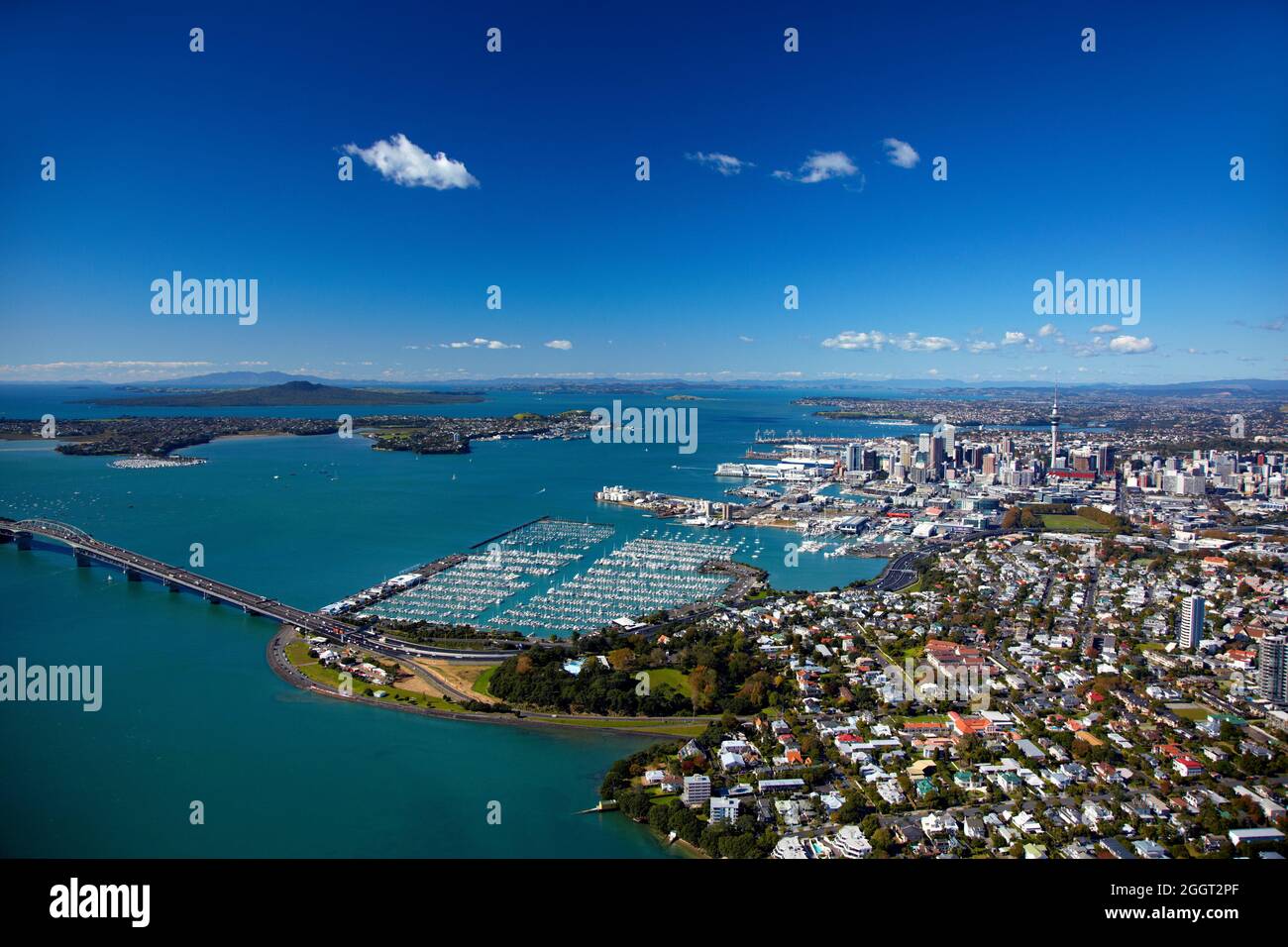 Auckland, Westhaven Marina und Hafenblick, Auckland, Neuseeland Stockfoto