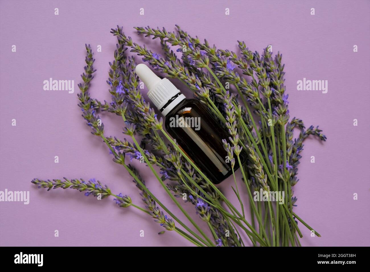 Ätherisches Lavendelöl.Glasflasche und Lavendelblüten auf einem Flieder background.Organic Essential oil.Organic natürliches ätherisches Öl.natürliche Bio Stockfoto
