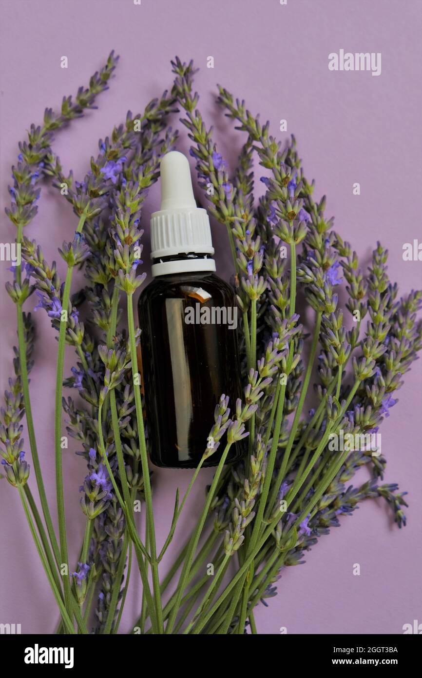 Ätherisches Lavendelöl.Glasflasche und Lavendelblüten auf einem Flieder background..Organic natürliches ätherisches Öl.natürliche Biokosmetik Stockfoto