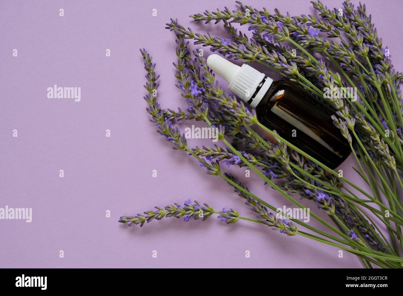 Ätherisches Lavendelöl.Glasflasche und Lavendelblüten auf einem Flieder background.Organic ätherisches Öl. Natürliches ätherisches Öl.natürliche Biokosmetik Stockfoto