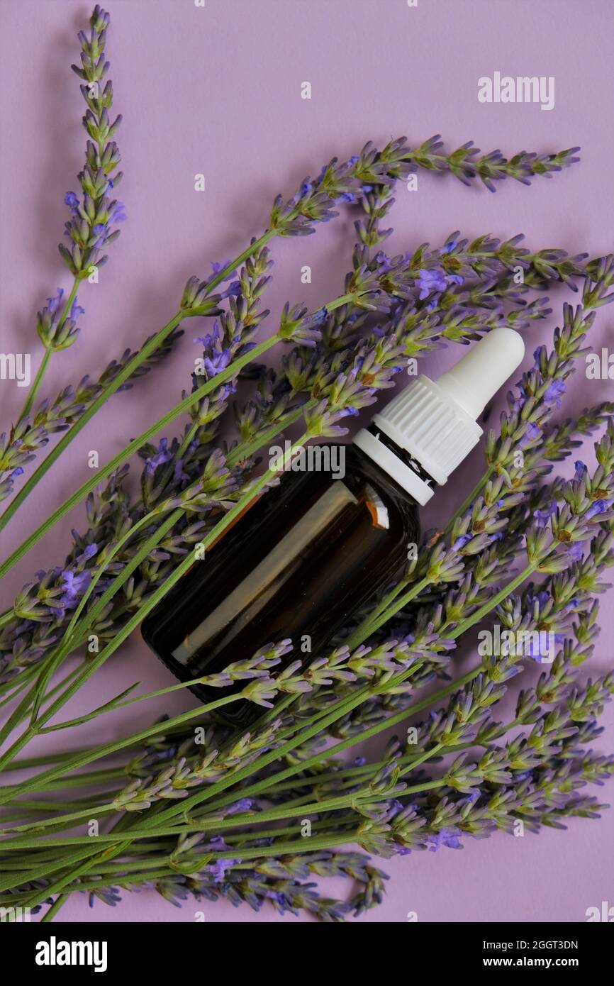Ätherisches Lavendelöl.Glasflasche und Lavendel flowers.Organic Essential oil.Organic natürliches ätherisches Öl.natürliche Biokosmetik Stockfoto