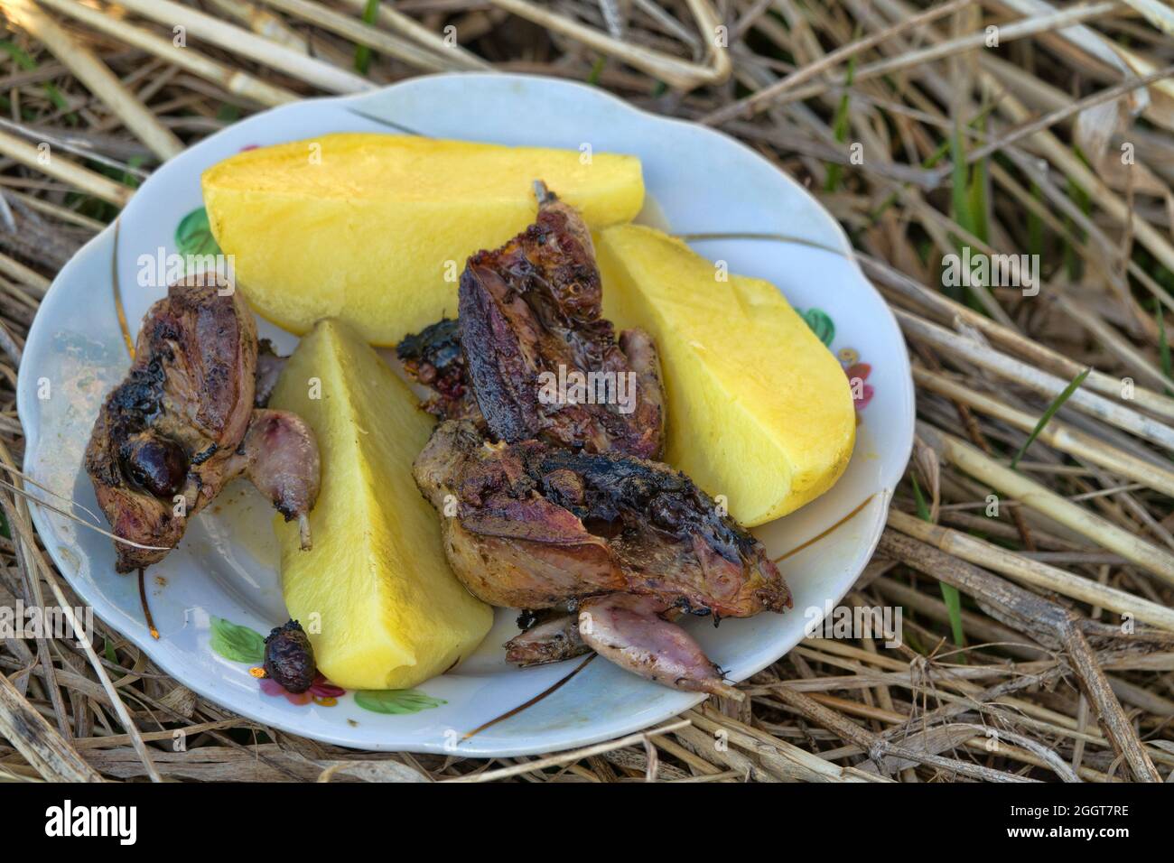 Camping Küche und Kochen auf dem Feld: Federwild. Bescheiden dekoriert, aber sehr leckeres Jägerfrühstück auf dem Gras. Geröstete Amseln waren in Stockfoto