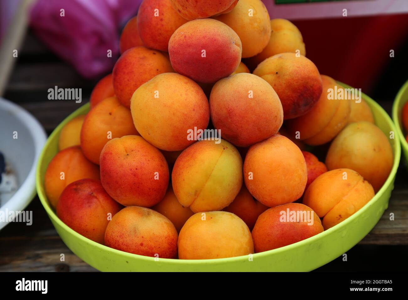 Aprikosen auf dem lokalen Bauernmarkt, Öko-Früchte, saftige Produkte. Einkaufen von Produkten aus der Bio-Saison. Gesundes Lebensmittelgeschäft. Früchte mit Wassertropfen. Hochwertige Fotos Stockfoto