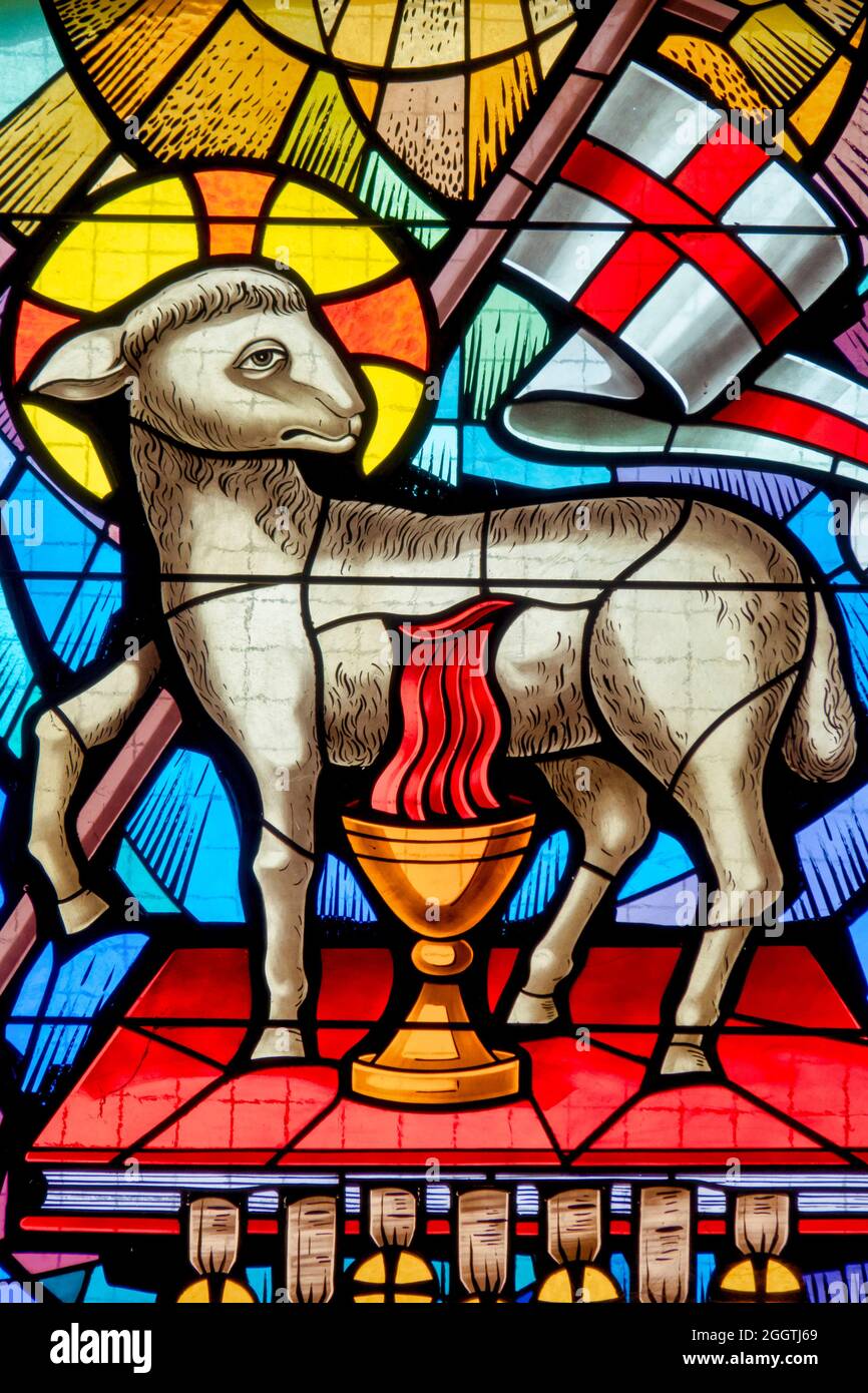 Blutendes Lamm Gottes Glasmalerei in der Kathedrale Santa Maria della Marina, San Benedetto del Tronto, Italien Stockfoto