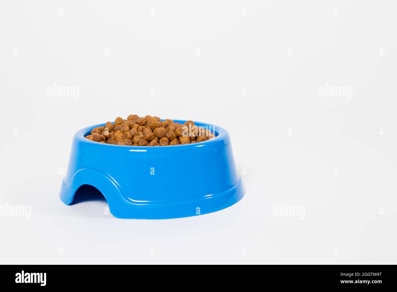 Blauer Teller mit trockenem Futter für Tiere auf weißem Hintergrund isoliert mit Platz für Text für den Tierladen Stockfoto