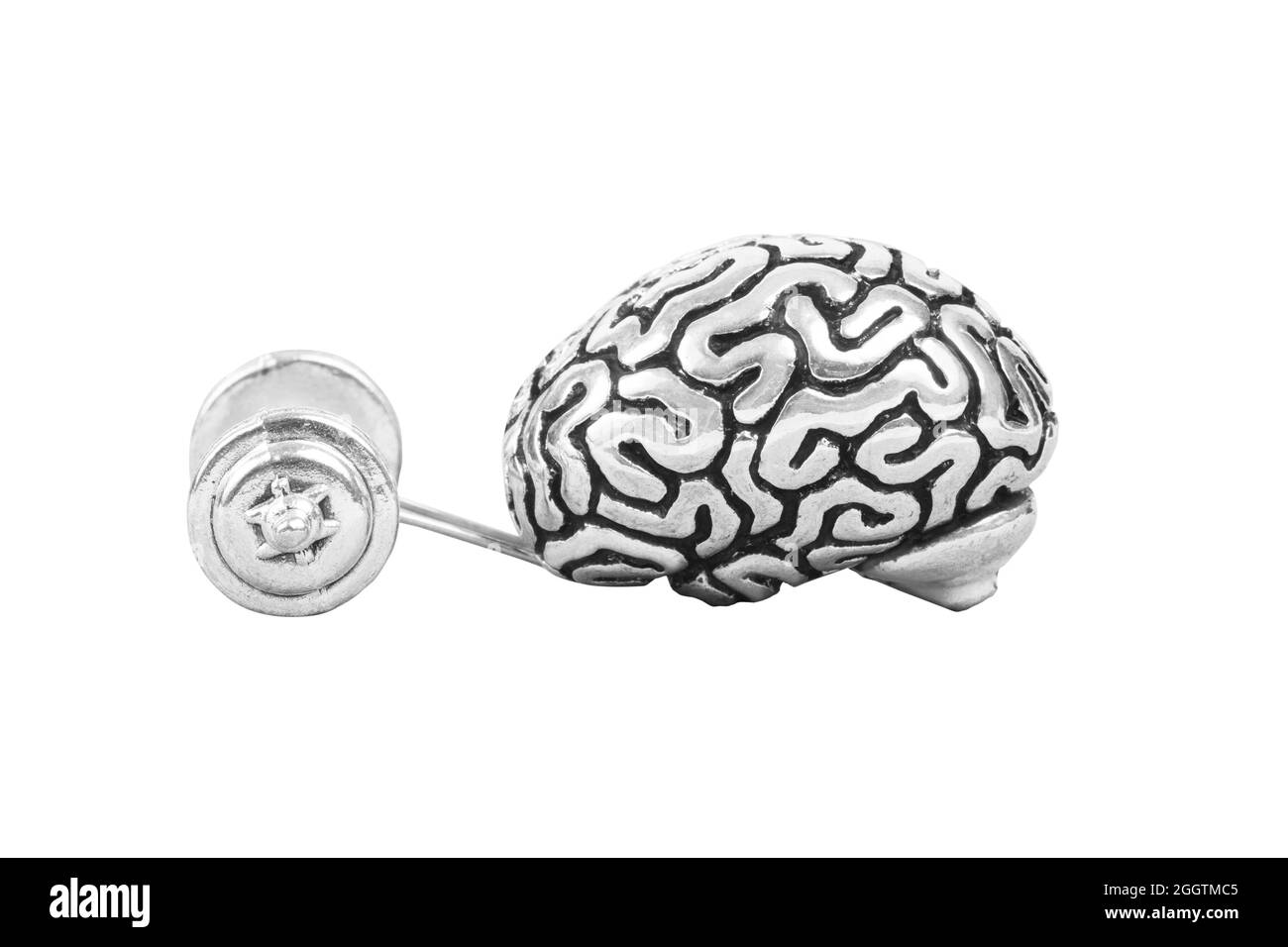 Das menschliche Gehirn hebt eine schwere Hantel. Brain Workout Konzept. Stockfoto