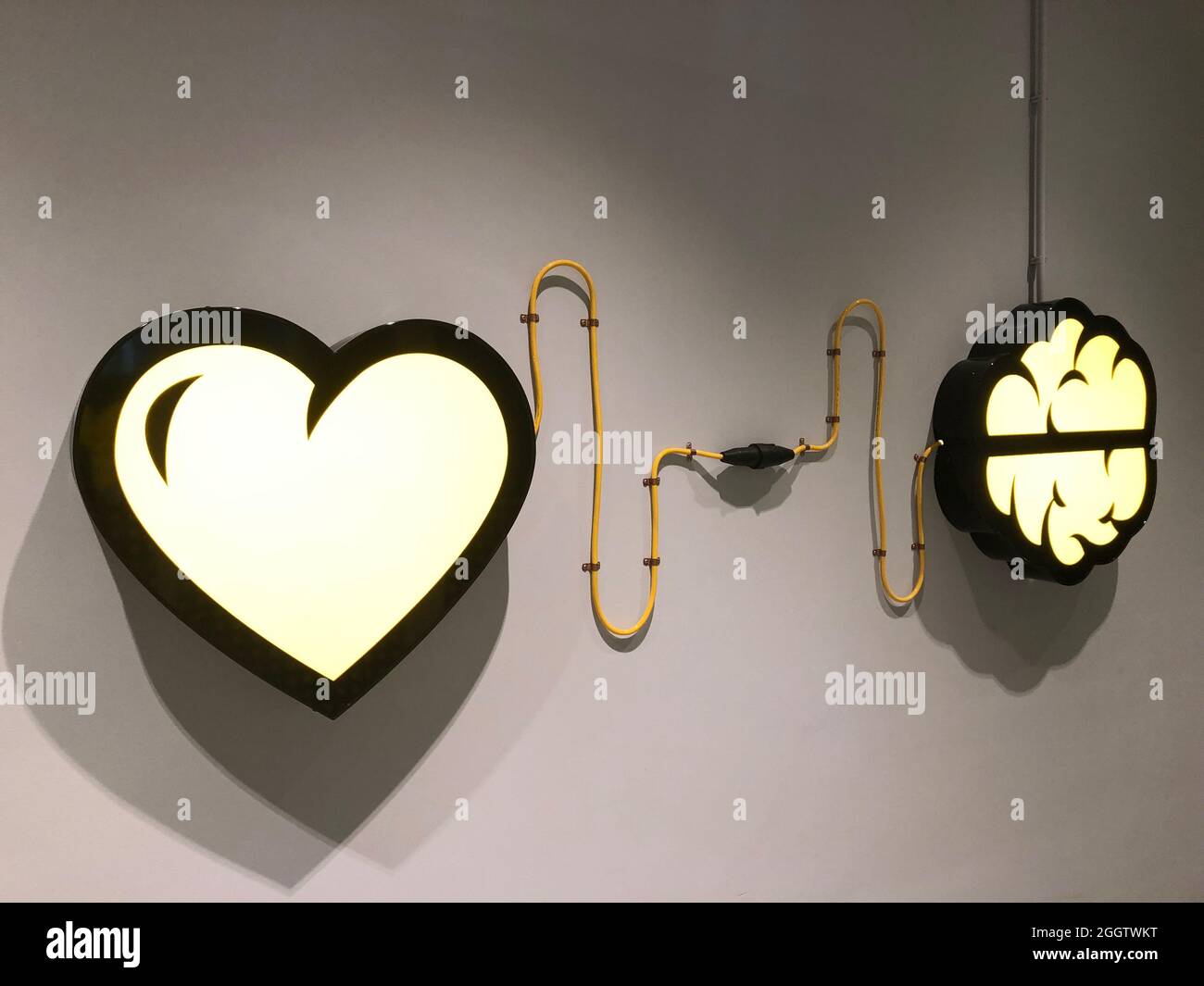 Herz und Seele, Gehirn und Herz, kontrollieren Ihre Emotionen Stockfoto