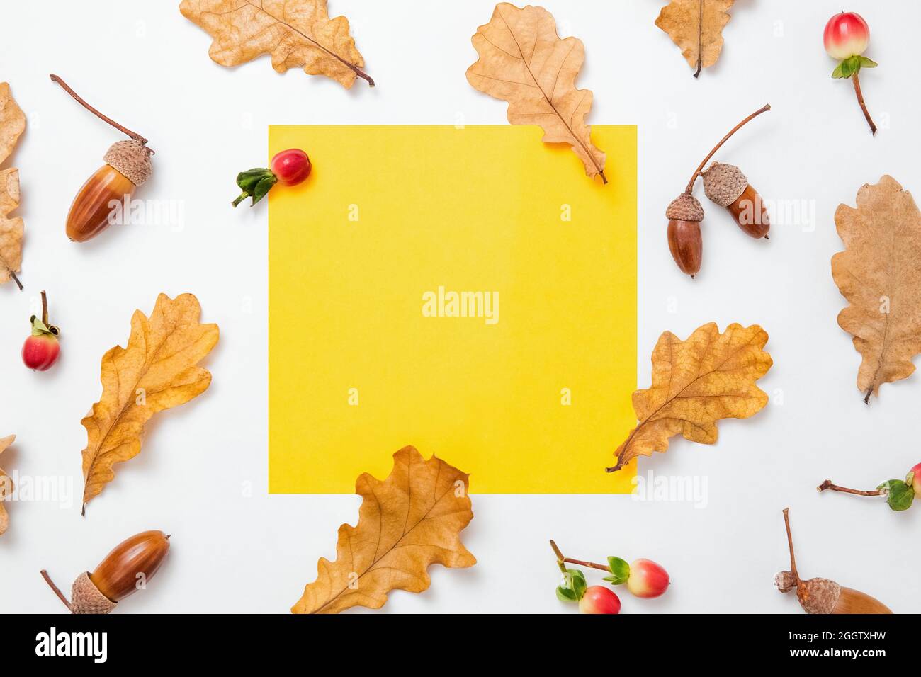 Eichenblätter und Eicheln Muster auf weißem Hintergrund. Gelber leerer Rahmen für Text. Herbstmockup. Minimale Herbstkomposition, Herbstkonzept. Flach liegend, oben Stockfoto