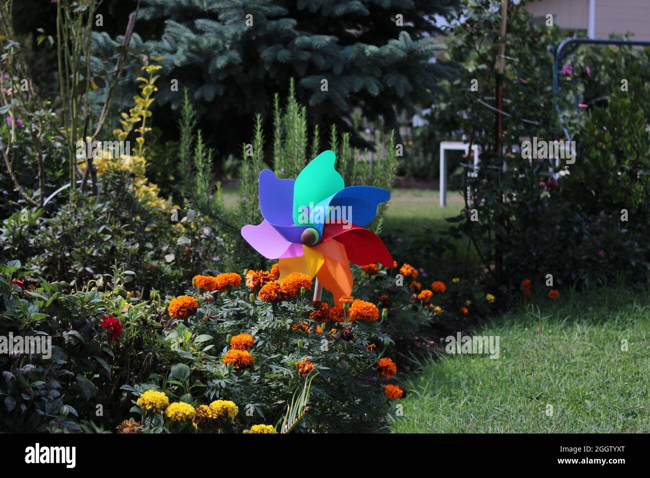 LGBT-farbige Windmühle in einem bunten Garten und Verbreitung von Liebe und Glück Stockfoto