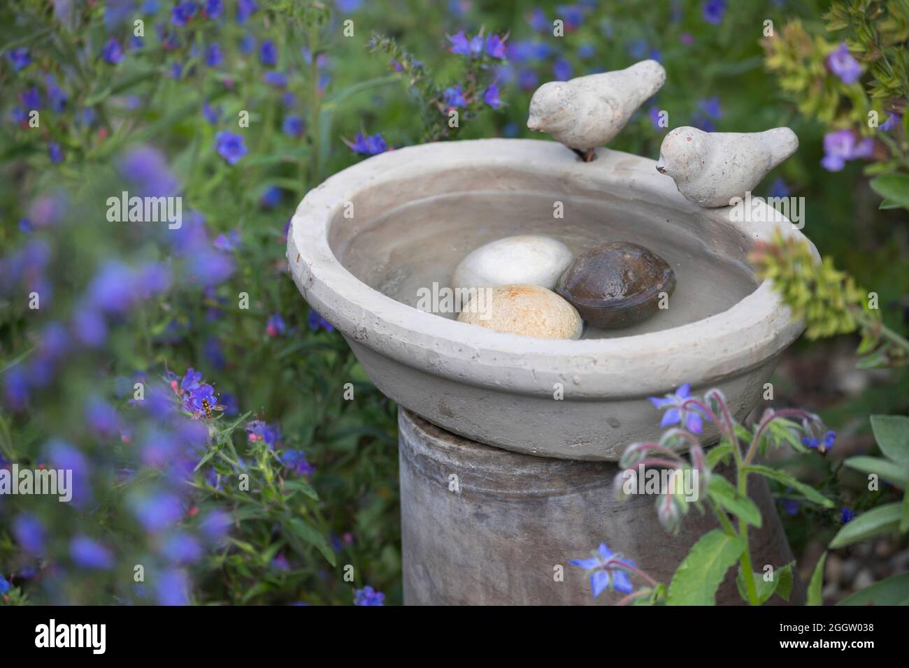 Bewässerungsort für Vögel im Garten, Deutschland Stockfoto