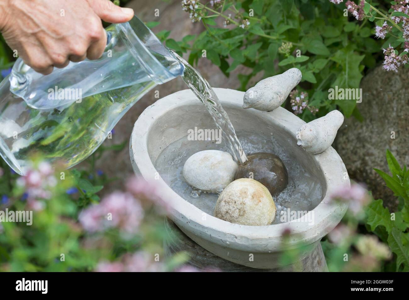 Bewässerungsort für Vögel ist mit Wasser gefüllt, Deutschland Stockfoto