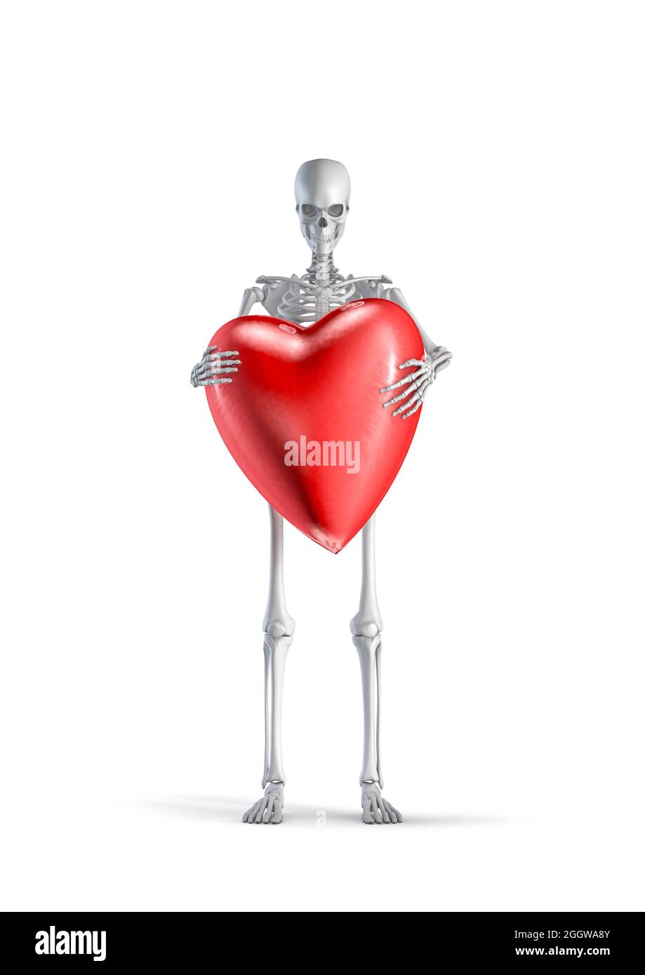 Skelett mit Valentine Heart - 3D-Darstellung der männlichen menschlichen Skelett-Figur mit großem roten Valentinstag Herz isoliert auf weißem Studio zurück Stockfoto