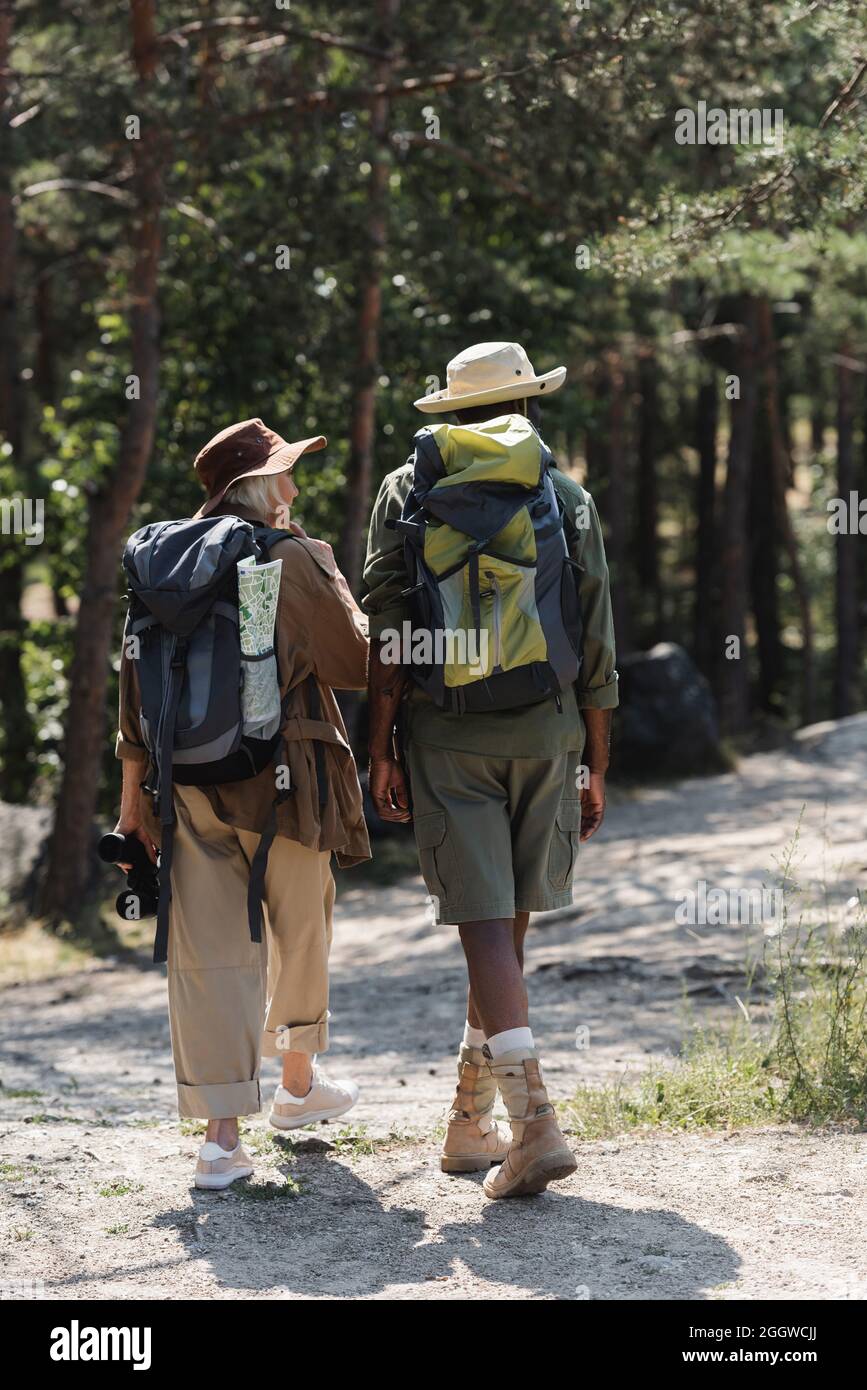 Ältere Wanderer mit Rucksäcken, die im Wald spazieren Stockfoto