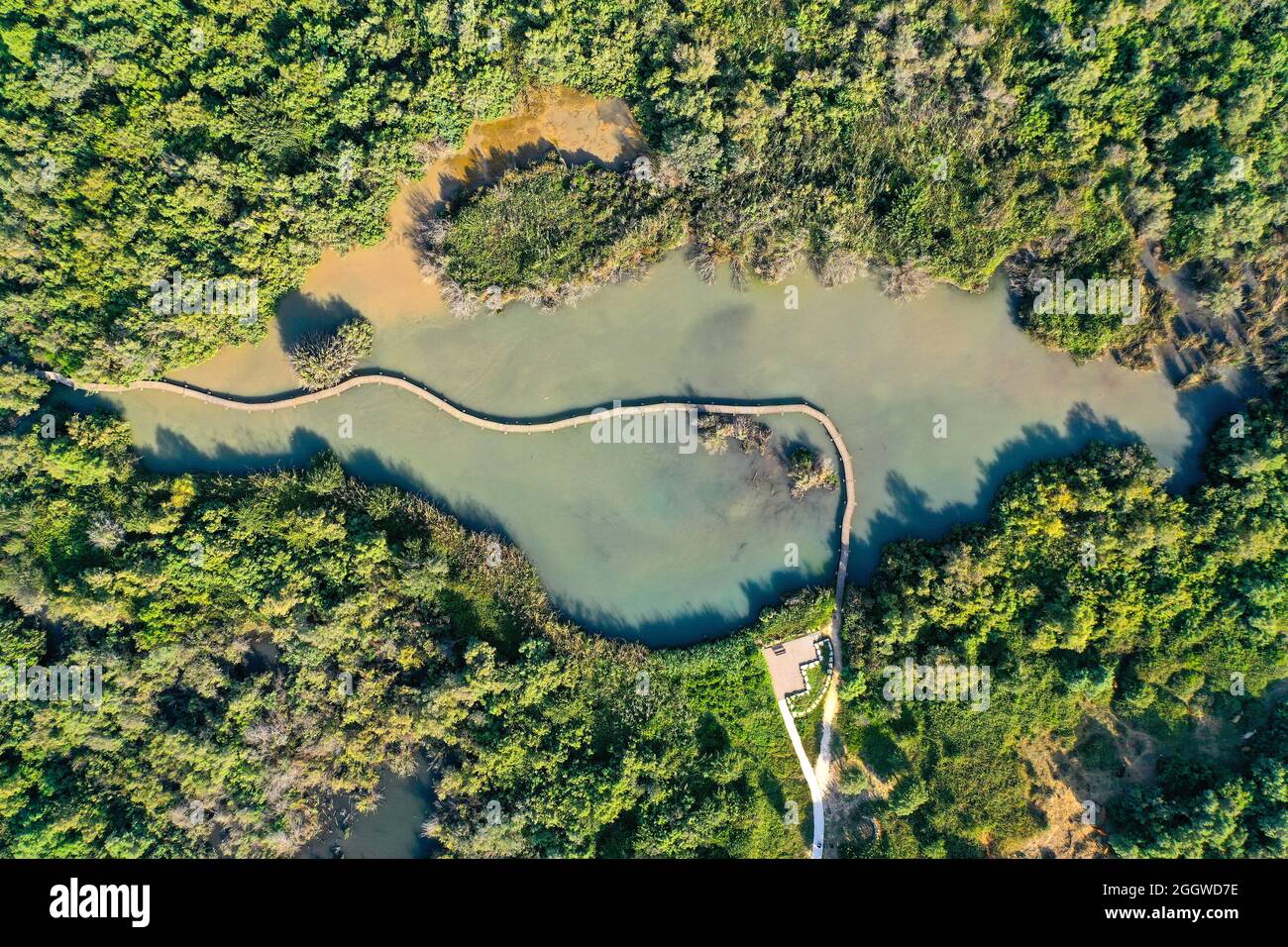 Ein Afek Naturschutzgebiet Wels Sumpf und Brücke, Luftbild. Stockfoto