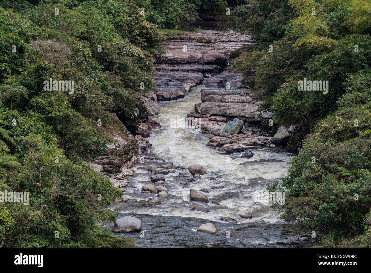 El Estrecho, verengt den Fluss Magdalena in Kolumbien Stockfoto