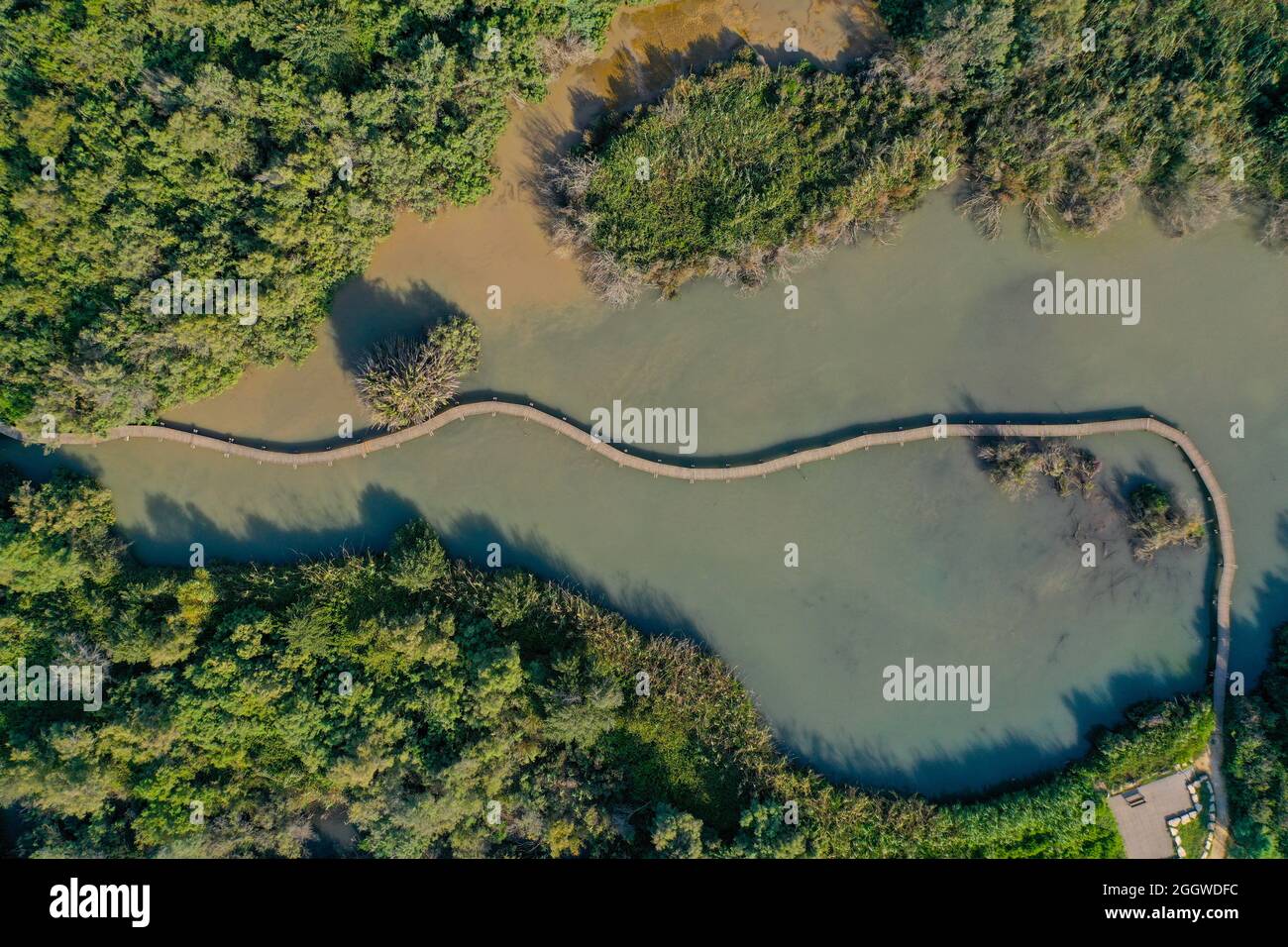 Ein Afek Naturschutzgebiet Wels Sumpf und Brücke, Luftbild. Stockfoto