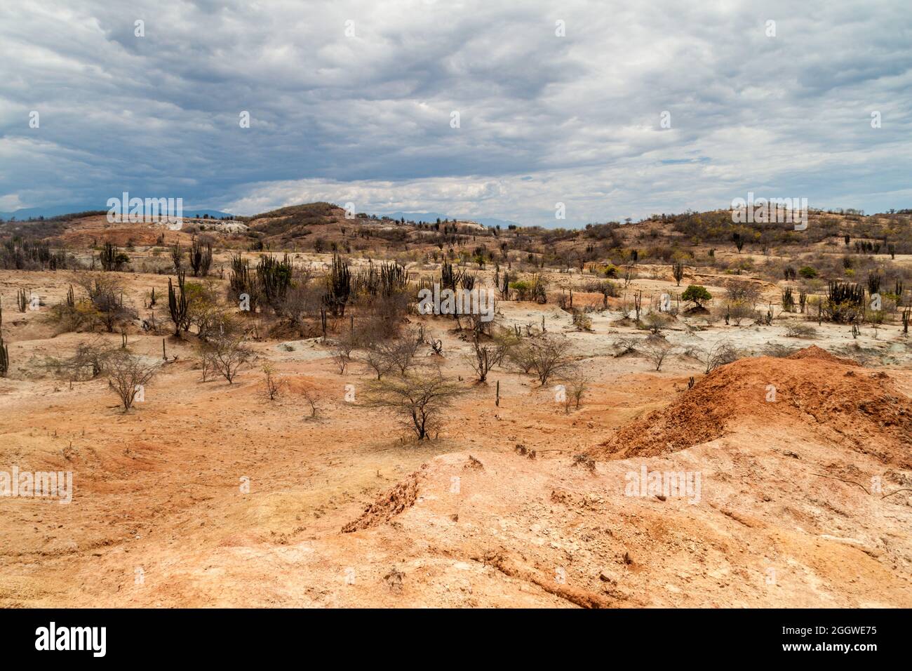 Landschaft der Tatacoa Wüste, Kolumbien Stockfoto