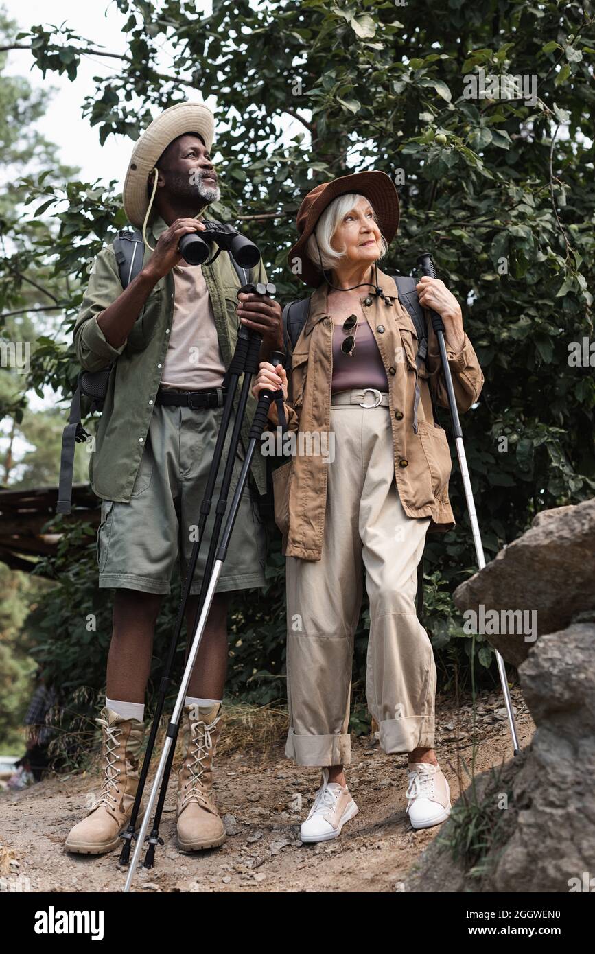 Ältere multiethnische Wanderer mit Wanderstöcken und Rucksäcken, die im Wald stehen Stockfoto