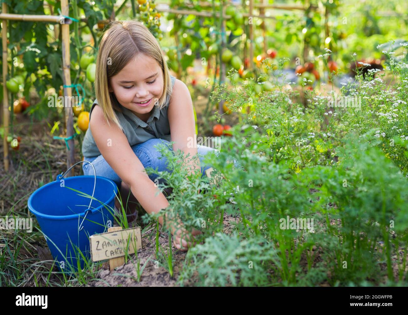 Mädchen mit Häcksler entfernt Unkraut aus der Nähe von Gartenbeeten  Stockfotografie - Alamy