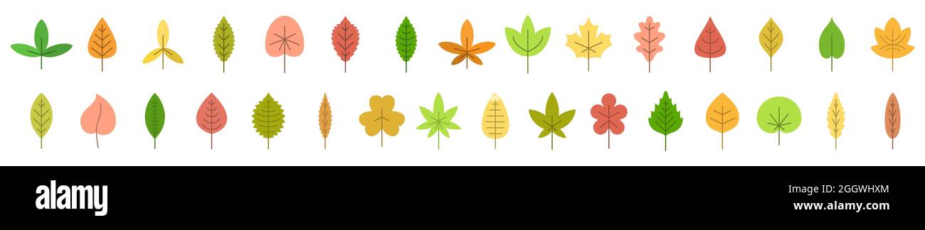 Herbstlaub. Farbblätter isoliert. Satz Herbstblätter. Vektorgrafik. Stock Vektor