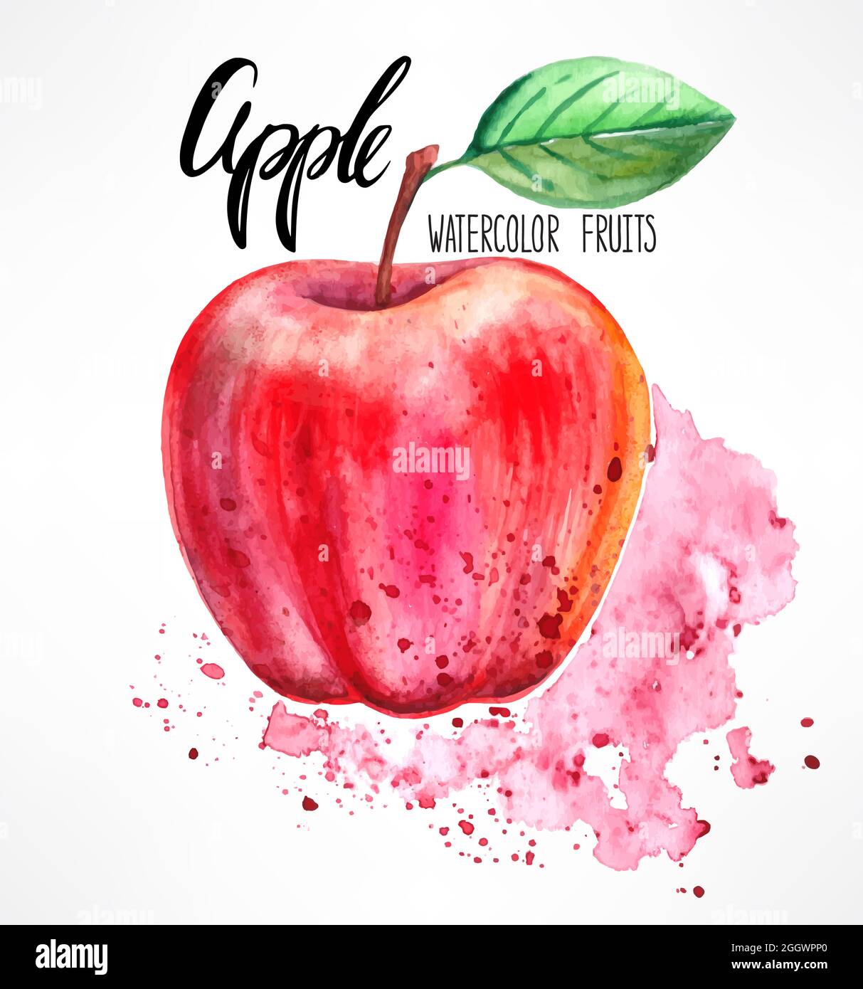 Köstlicher reifer Aquarell-Apfel. Handgezeichnete Illustration Stock Vektor