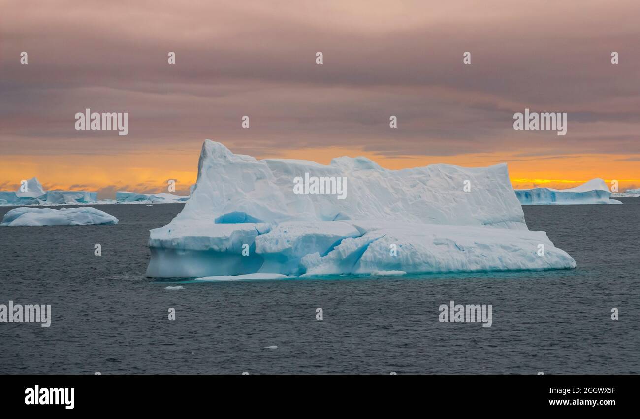 Schwimmende Eisberge im antarktischen Meer, nahe der Antarktischen Halbinsel , Antarktis Stockfoto