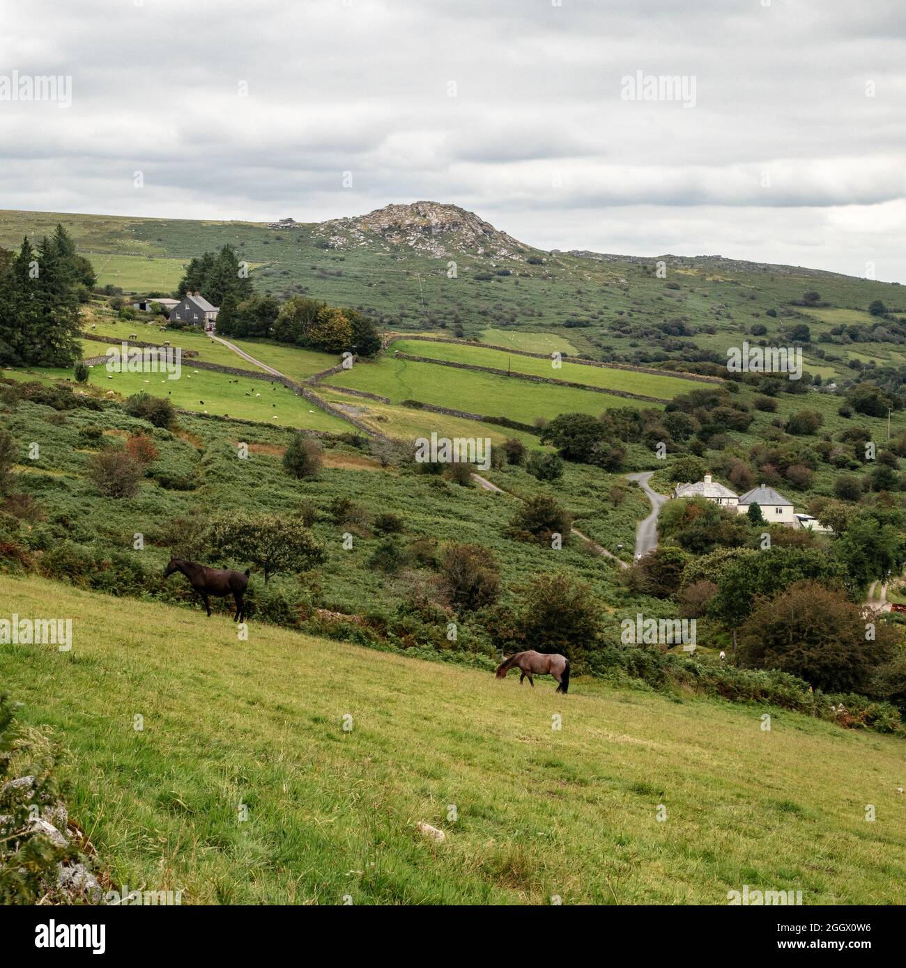 Sharp Tor Bodmin Moor Cornwall Stockfoto