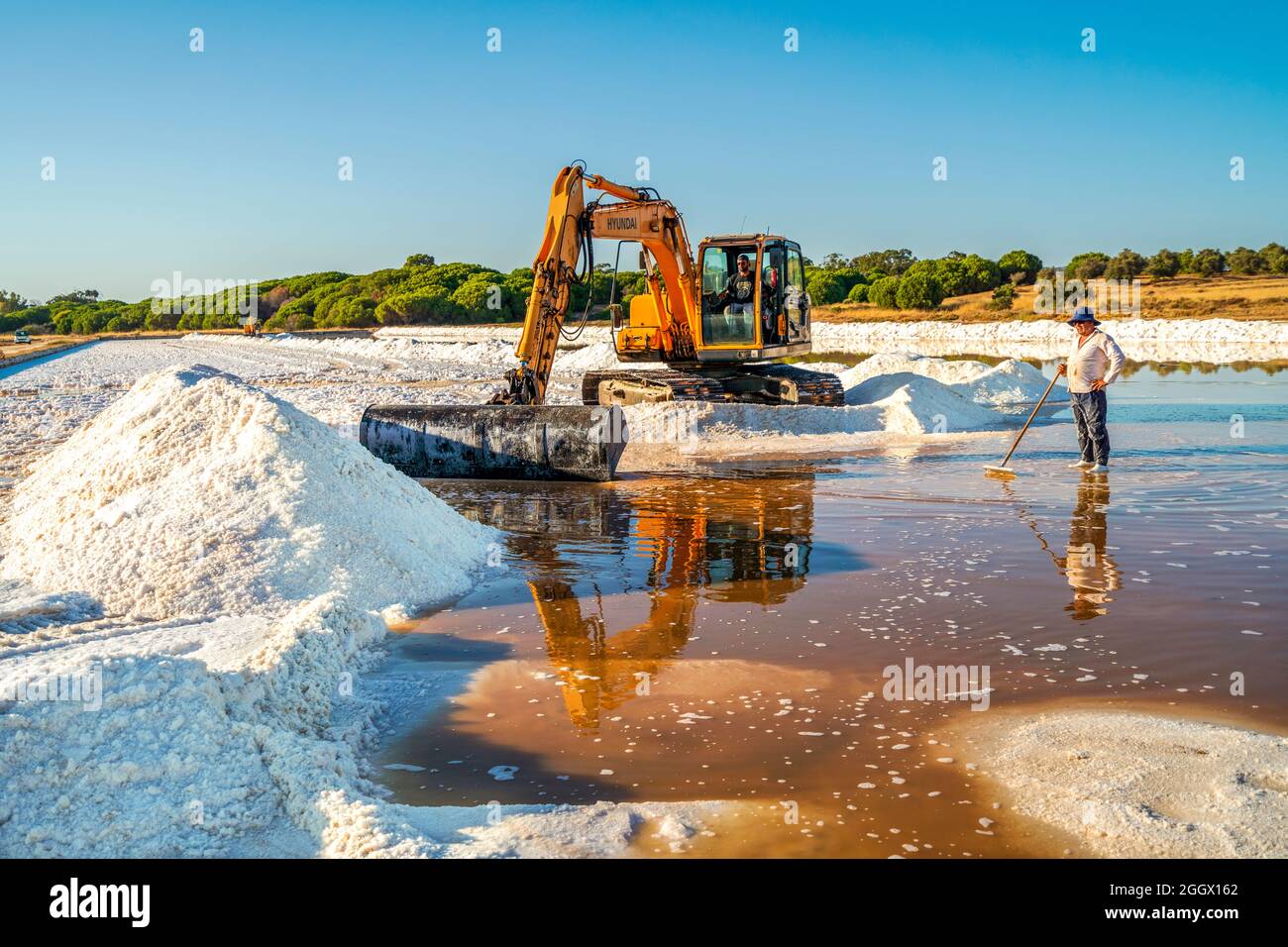 20. August 2021 - Faro, Portugal: Meersalzernte mit einem gelben Bagger bei natürlichen salinen Stockfoto