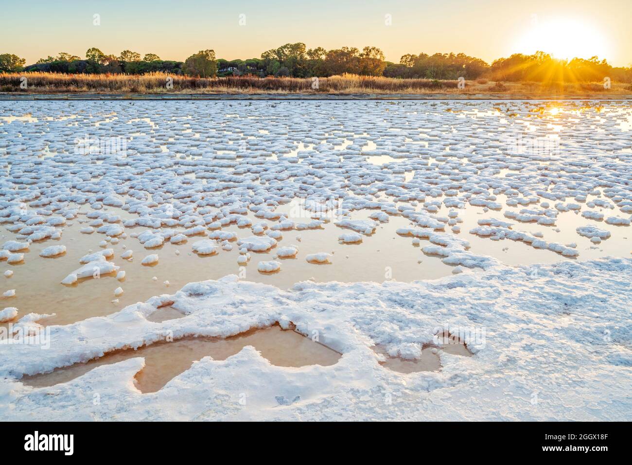 Salzteich nach der Verdunstung von Meerwasser bei salines in Faro, Algarve, Portugal Stockfoto