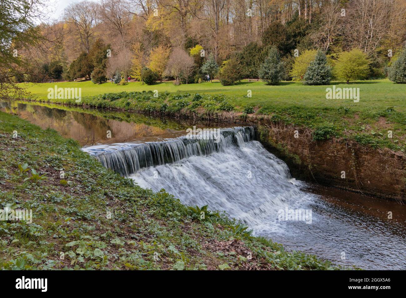 Schnell fließendes Wehr entlang des Skell River mit Sträuchern und Bäumen im Hintergrund, Studley Royal Park, Ripon, North Yorkshire, England, VEREINIGTES KÖNIGREICH. Stockfoto