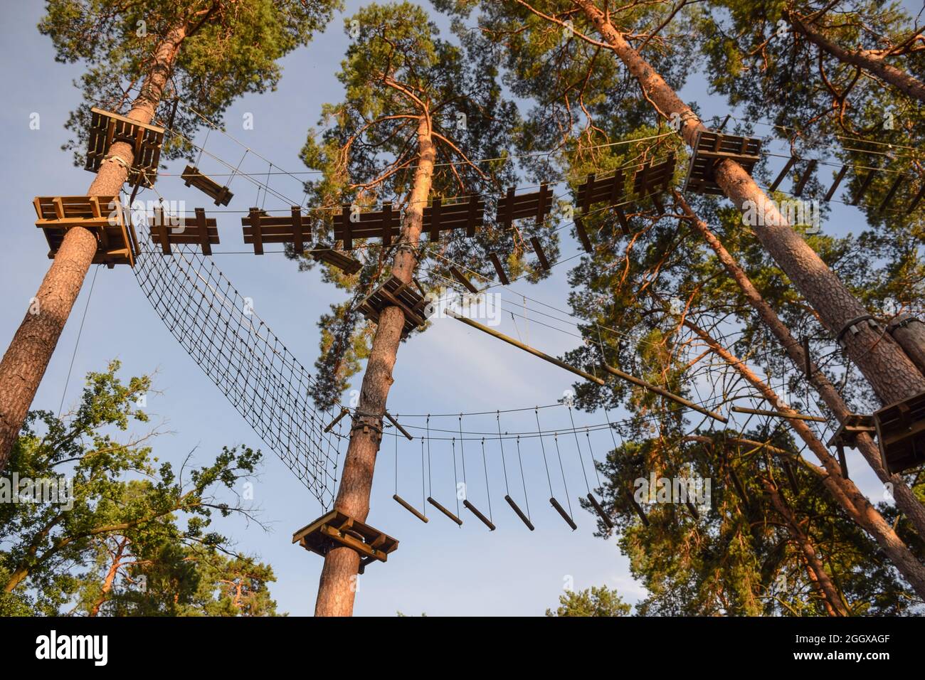 Sonnenbeschienenen Hindernisparcours hoch in den Bäumen im Seilpark Stockfoto