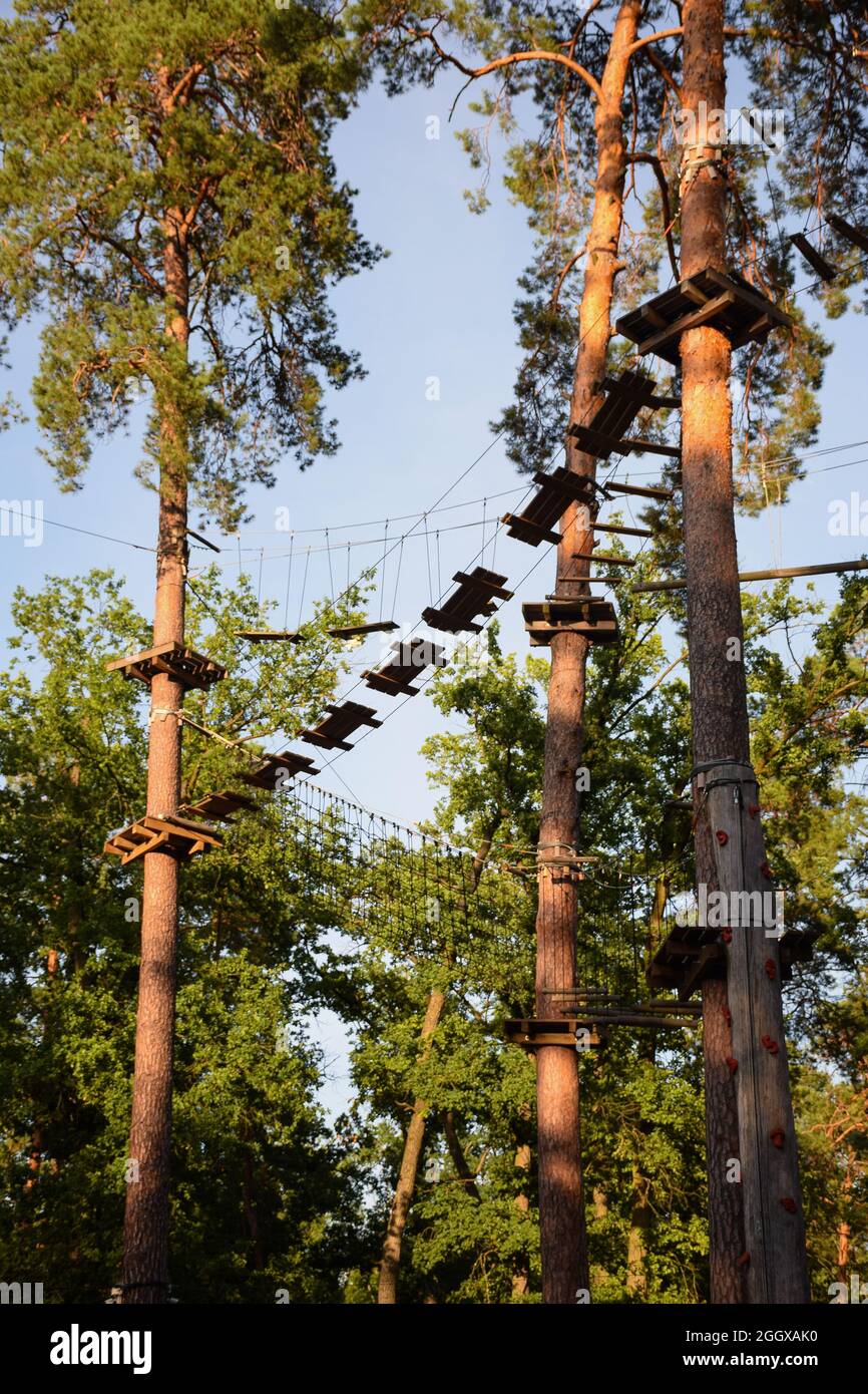 Sonnenbeschienenen Hindernisparcours hoch in den Bäumen im Seilpark Stockfoto