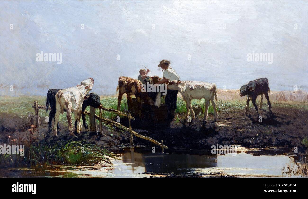 Kälber an einem Trog des niederländischen Künstlers Willem Maris (1844-1910), Öl auf Leinwand, 1863 Stockfoto