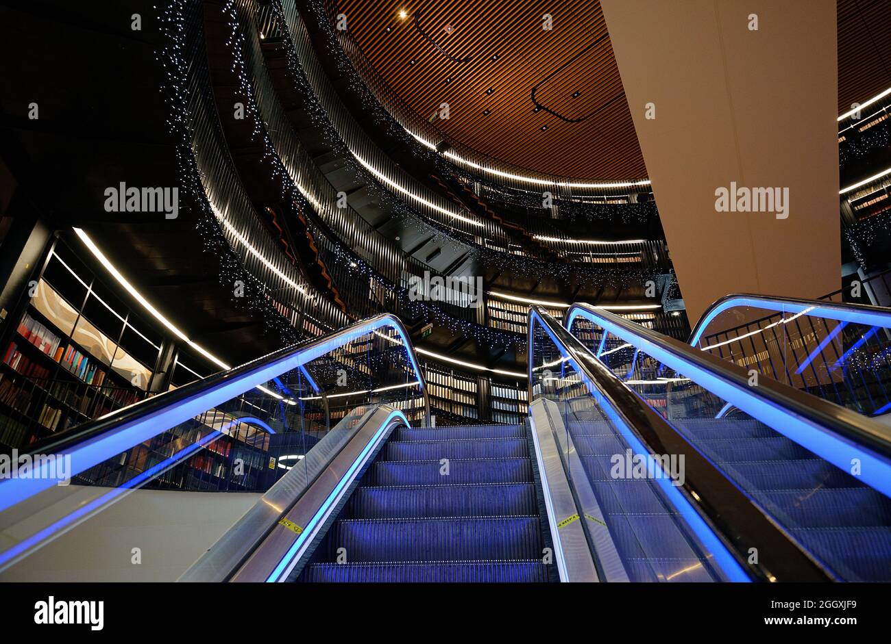 Bibliothek von Birmingham, im Zentrum der Stadt West Midlands. Gebogenes Atrium und blau beleuchtete Rolltreppen und funkelndes Licht. Stockfoto