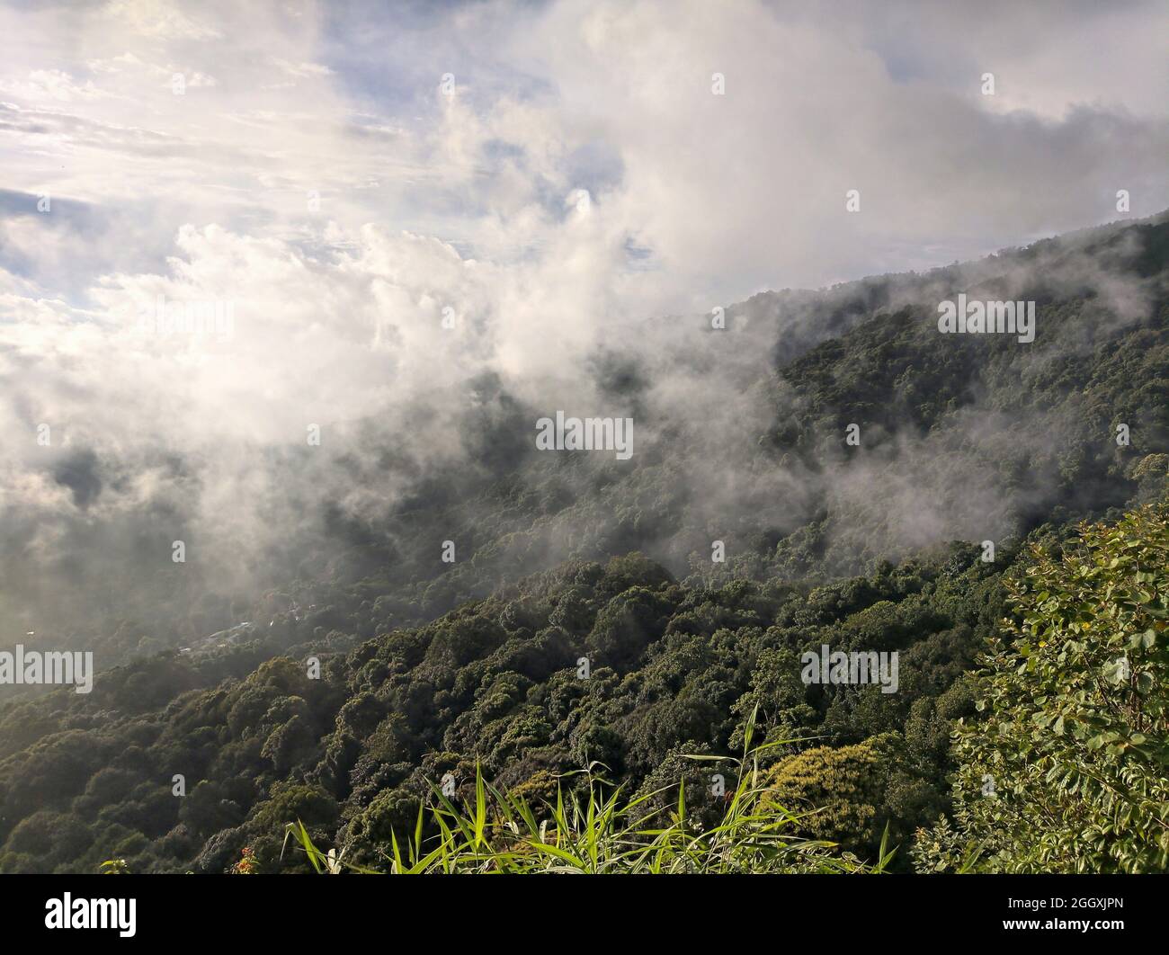 Nebel auf dem Berg Doi Suthep in chiang Mai, Thailand Stockfoto