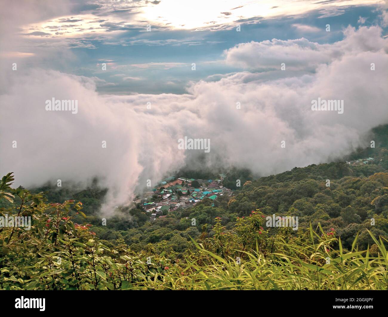 Nebel auf dem Berg Doi Suthep in chiang Mai, Thailand Stockfoto