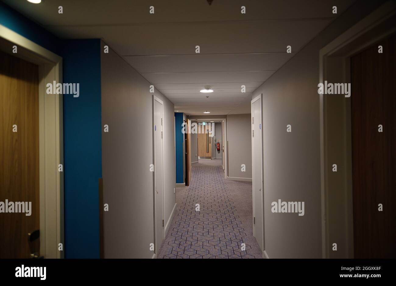 Ein schwach beleuchteter Hotelkorridor mit schlichten Wänden und einem gemusterten Teppich. Stockfoto