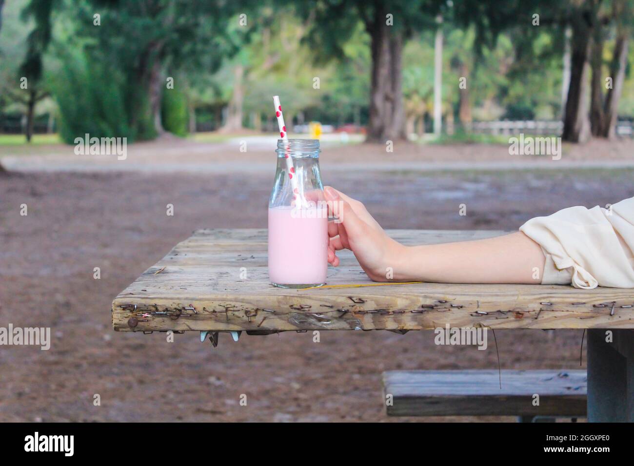 Frau, die bei einem Picknick eine Glasflasche mit rosa Erdbeermilch mit einem Papierstroh in einem Park hält. Stockfoto