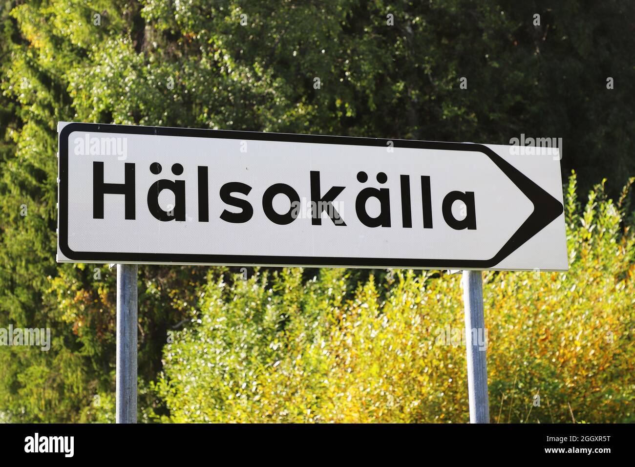 Wegweiser in schwedischer Sprache für eine Mineralquelle. Stockfoto